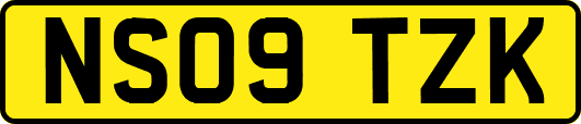 NS09TZK