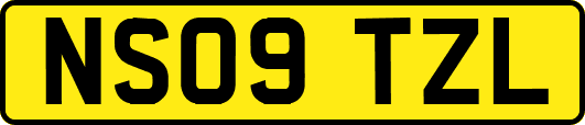 NS09TZL