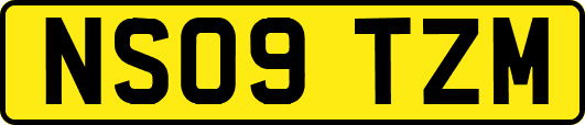 NS09TZM