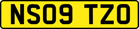 NS09TZO