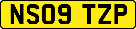 NS09TZP