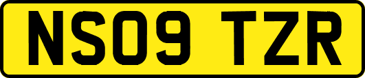 NS09TZR