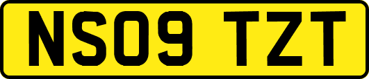 NS09TZT