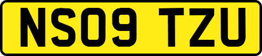 NS09TZU