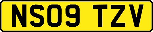 NS09TZV