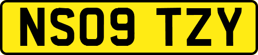 NS09TZY