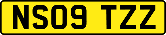 NS09TZZ