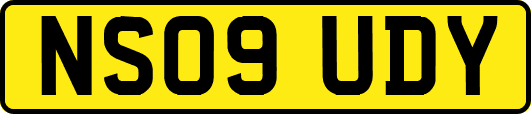 NS09UDY