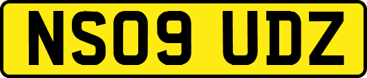 NS09UDZ