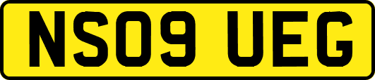 NS09UEG