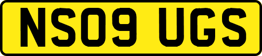 NS09UGS