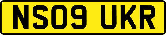 NS09UKR