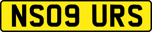NS09URS