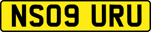 NS09URU