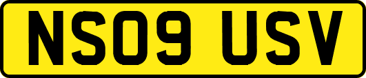 NS09USV