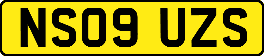 NS09UZS