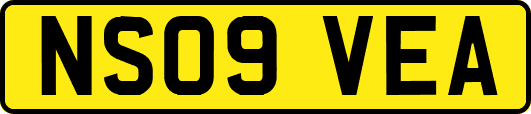 NS09VEA
