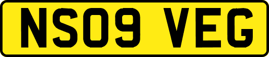 NS09VEG