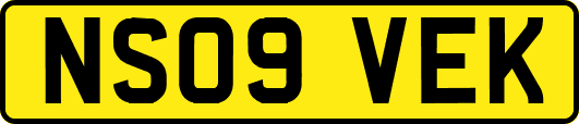 NS09VEK