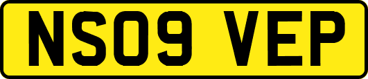 NS09VEP