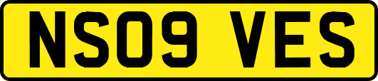 NS09VES