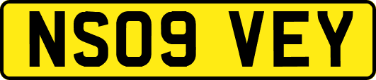 NS09VEY