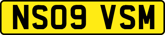 NS09VSM