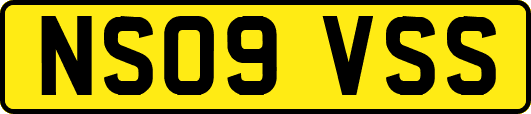 NS09VSS