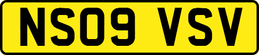 NS09VSV