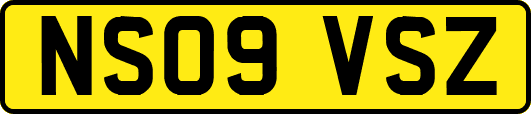 NS09VSZ