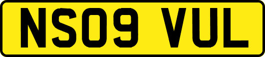 NS09VUL