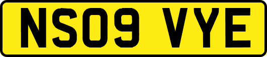 NS09VYE