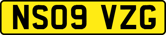 NS09VZG