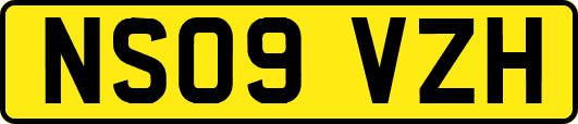 NS09VZH