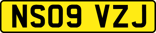 NS09VZJ