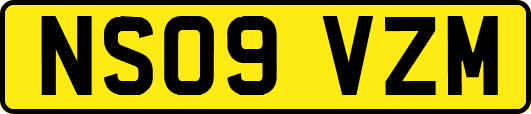 NS09VZM