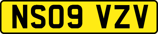 NS09VZV
