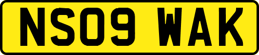 NS09WAK