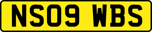 NS09WBS