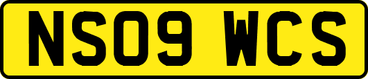 NS09WCS