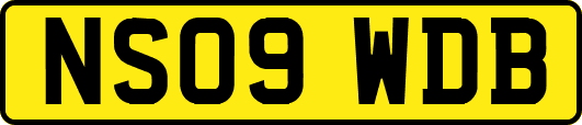 NS09WDB
