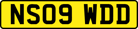NS09WDD