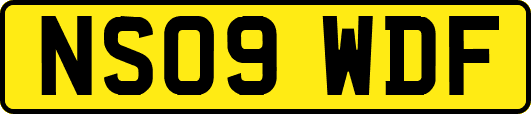 NS09WDF