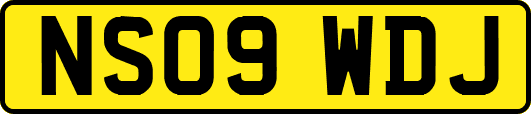 NS09WDJ