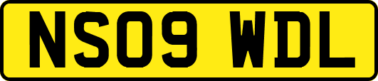 NS09WDL