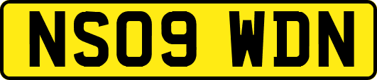 NS09WDN