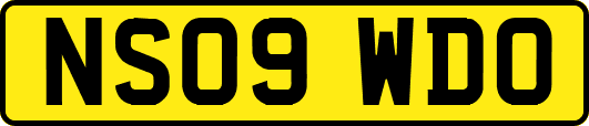NS09WDO