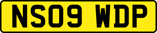 NS09WDP