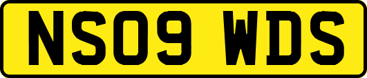 NS09WDS