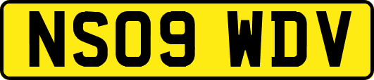 NS09WDV